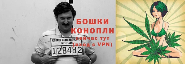 соль ск Алексин